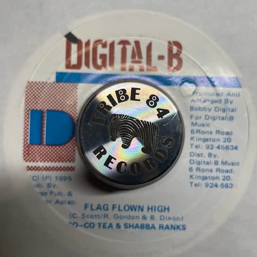 Cocoa Tea, Shabba Ranks – Flag Flown High
