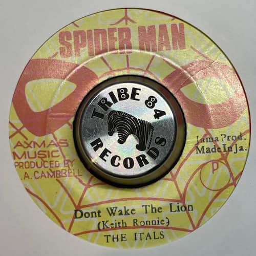 The Itals, The Revolutionaries – Don't Wake The Lion