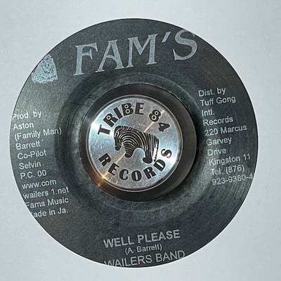 The Wailers Band - Well Please / Versionpicture