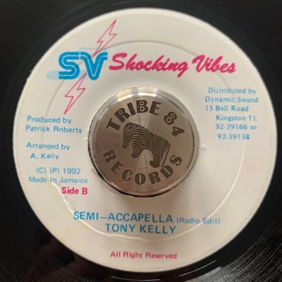 Little Kirk - This Feeling / Paradise (Medley) picture 2