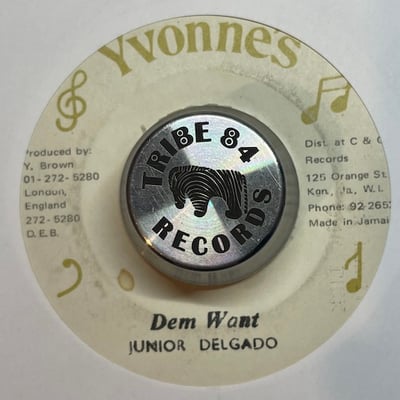 Junior Delgado - Bound To Get It picture 2