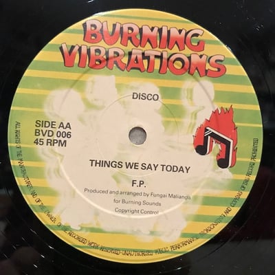Fungai Malianga - Finsbury Park Party / Things We Say Today picture 4