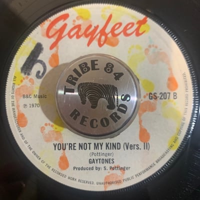 Naomi Phillips, The Gaytones - You're Not My Kind / You're Not My Kind (Vers. II) picture 2