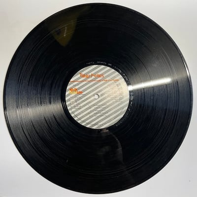 Pablo Moses - In The Future picture 3