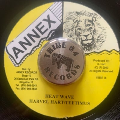 Beenie Man - But Bet picture 2