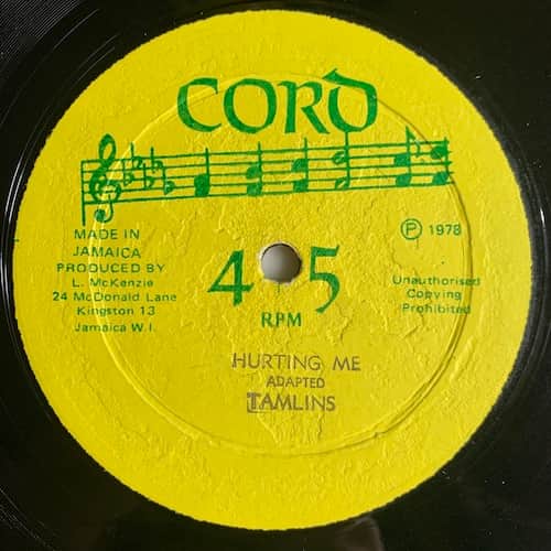 The Tamlins – Hurting Me / When I Fall In Love