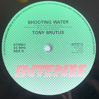 Tony Brutus - Water Pistol picture 2