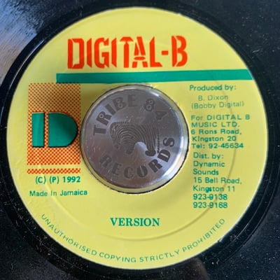 Cocoa Tea - Go Home Soundboy picture 2