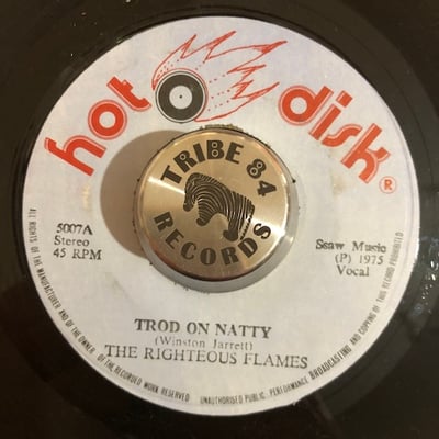 The Righteous Flames - Trod On Natty picture 2