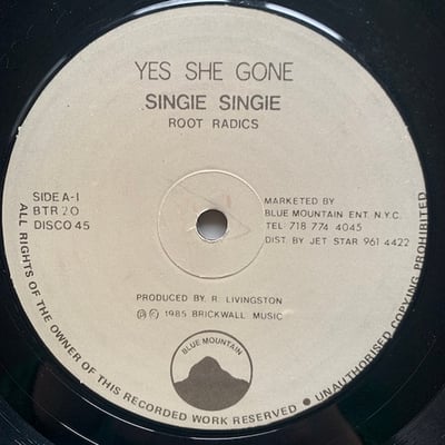 Singie Singie, The Roots Radics - Yes She Gone picture 2
