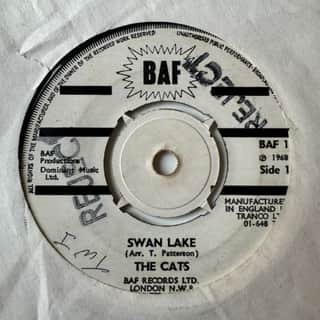 The Cats – Swan Lake