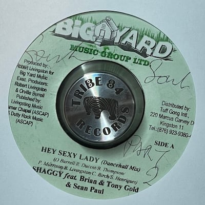 Shaggy, Brian & Tony Gold, Sean Paul - Hey Sexy Lady (Dancehall Mix) picture 2