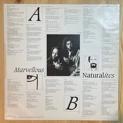 Natural Ites, The Realistics - Marvellous picture 4