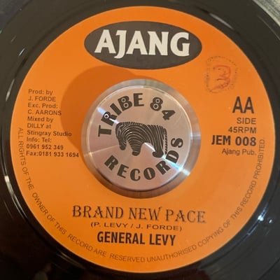 Madeleine, General Levy - Genie In A Bottle / Brand New Place picture 2