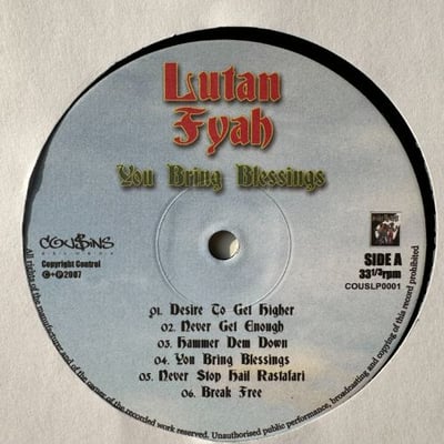 Lutan Fyah - You Bring Blessings picture 3