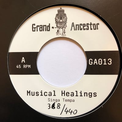 Singer Tempa - Musical Healingspicture