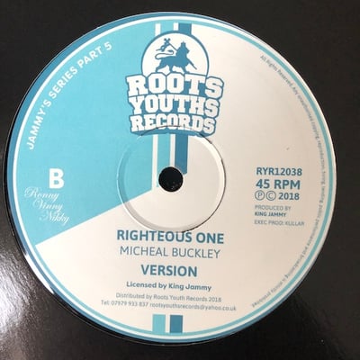 Junior Delgado, Michael Buckley - Storm Is Coming / Righteous One picture 2