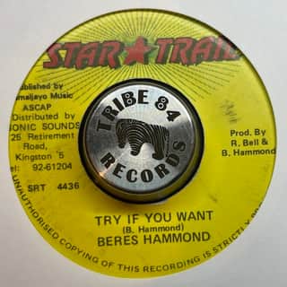 Beres Hammond – Try If You Want