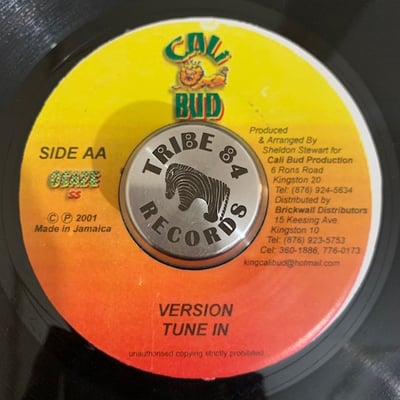 Chrisinti - Say Jah picture 2