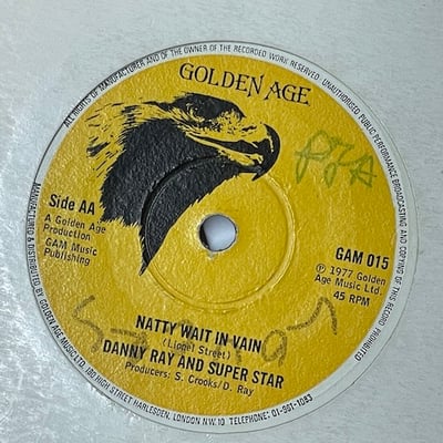 Danny Ray - Waiting In Vain picture 2