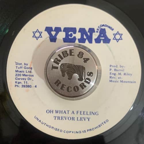 Trevor Levy – Oh What A Feeling