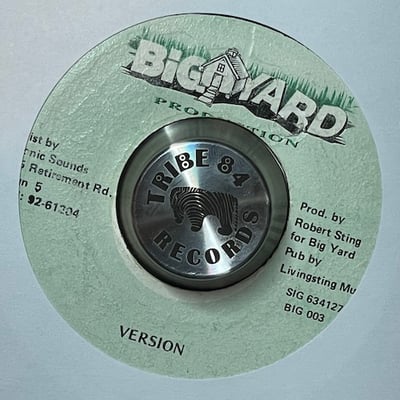 Shaggy - Boombastic (Livingsting Remix) picture 2