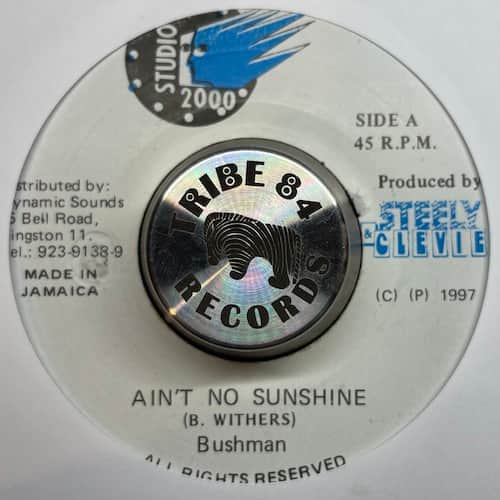 Bushman – Ain't No Sunshine