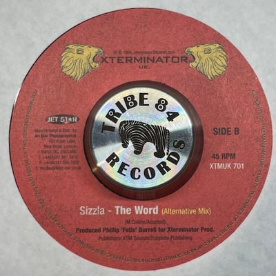Sizzla - The Word picture 2
