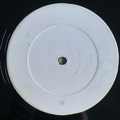 Bobby Zarro, Capleton - Young Fresh And Green picture 2