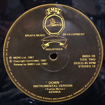 Nya Azania - Down With Aparthied picture 2