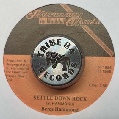 Beres Hammond - Settling Down picture 2