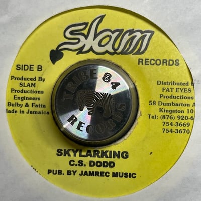 Sizzla - Judgement picture 2