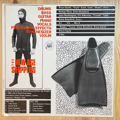New Age Steppers - The New Age Steppers picture 2