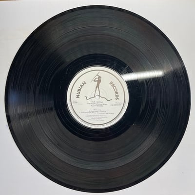 Black Roots - Dub Factor: The Mad Professor Mixes picture 4