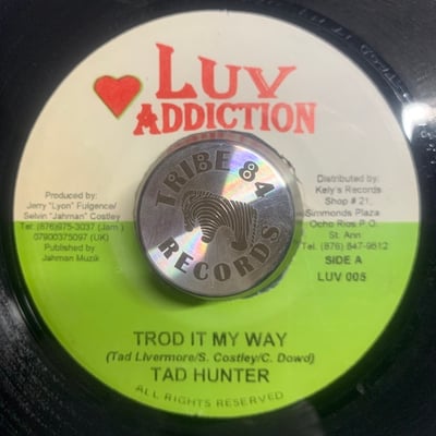 Tad Hunter - Trod It My Waypicture