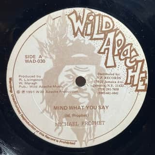 Michael Prophet, Danger D – Mind What You Say / F.B.I. Find Me