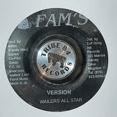 The Wailers Band - Well Please / Version picture 2