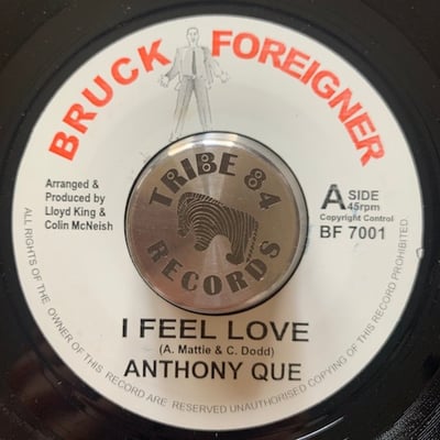 Anthony Que, Steam Fish - I Feel Love/ I Feel Love (Version)picture
