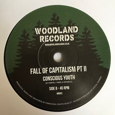 Conscious Youth - Fall Of Capitalism picture 2