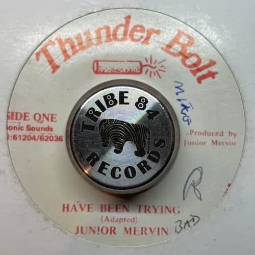 Junior Murvin – Have Been  Trying