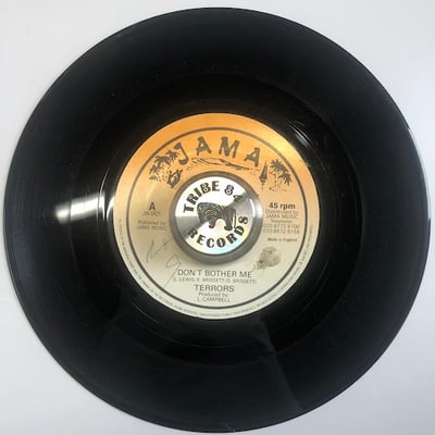 The Terrors - Don't Bother Me picture 3