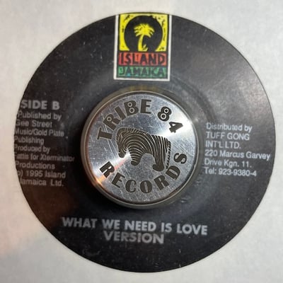 Spanner Banner, Luciano - What We Need Is Love picture 2
