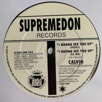 Calvin Salmon - I Wanna Sex You Up picture 2