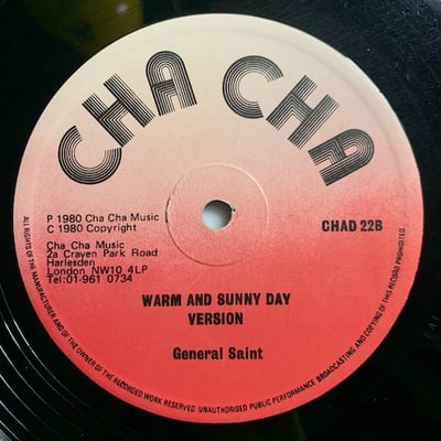 Barrington Levy, General Saint - Warm And Sunny Day  / Warm And Sunny Day picture 2