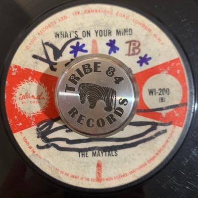 The Maytals - Never You Change picture 2