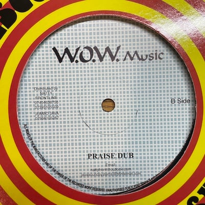 Junior Reid - Thanks And Praise picture 3