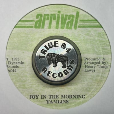 The Tamlins - Joy In The Morning picture 2