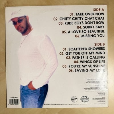 Ambelique - Missing You picture 4