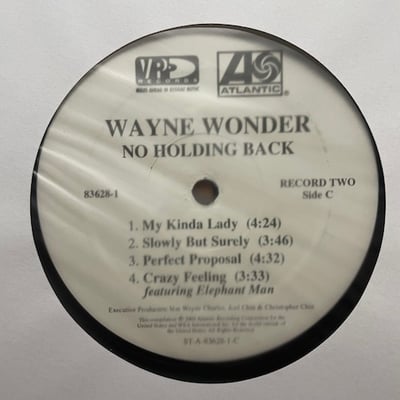 Wayne Wonder - No Holding Back picture 5