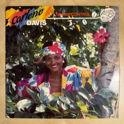 Carlene Davis - Taking Control picture 3